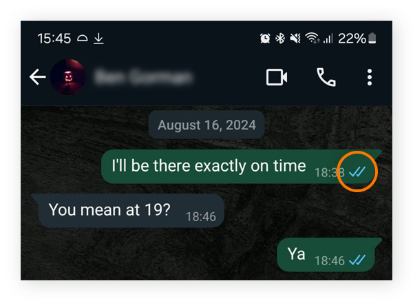 WhatsApp 的送达和已读示例